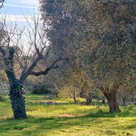 Casa Baronessa *
